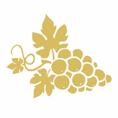 Symbolbild Weiße Weintrauben